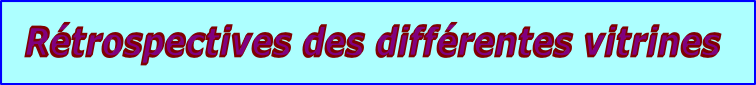 Rétrospectives des différentes vitrines